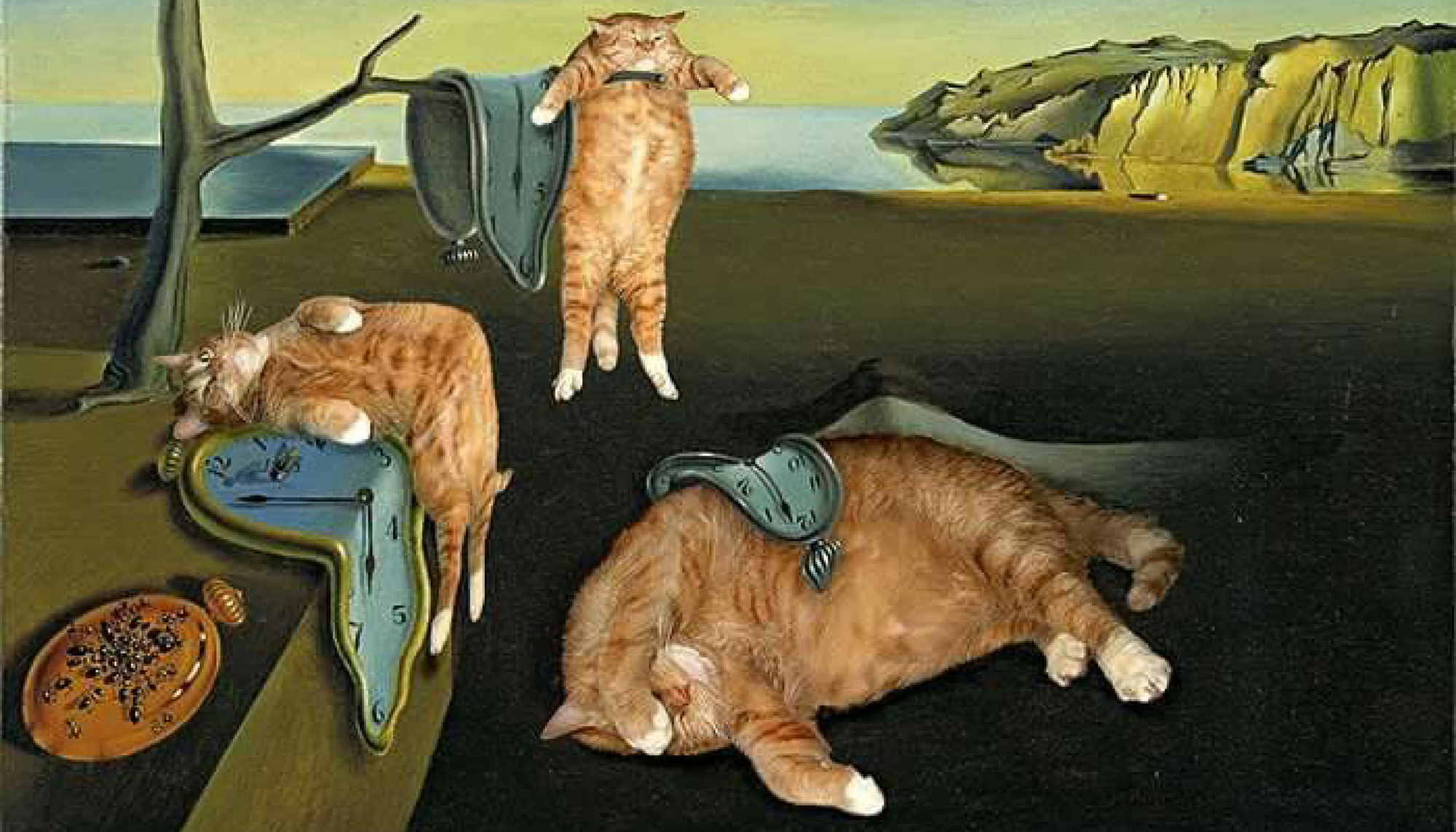 Harikapoli kediler ve sanat koleksiyonu – Van Gogh, Klimt eserlerine kedi temalı yaratıcı yorum