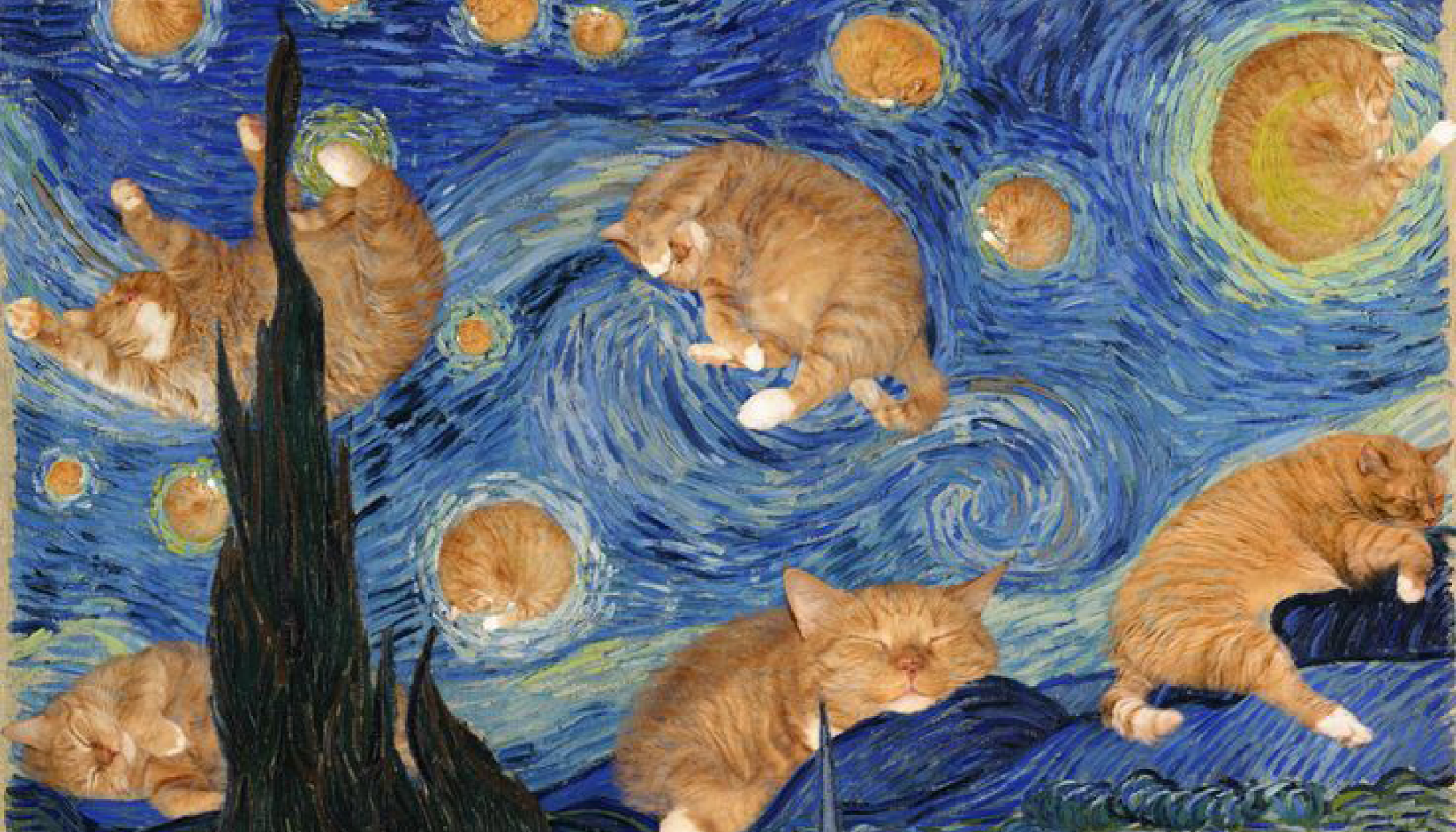 Harikapoli özel sanat koleksiyonları – kedi serisi, hayvan serisi, sloganlar ve iskambil tasarımları